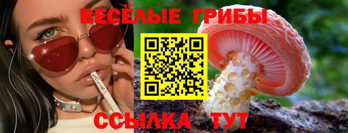 Псилоцибиновые грибы мухоморы Батайск
